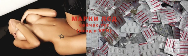 ешки Новозыбков