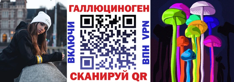 Псилоцибиновые грибы Psilocybe Камышин